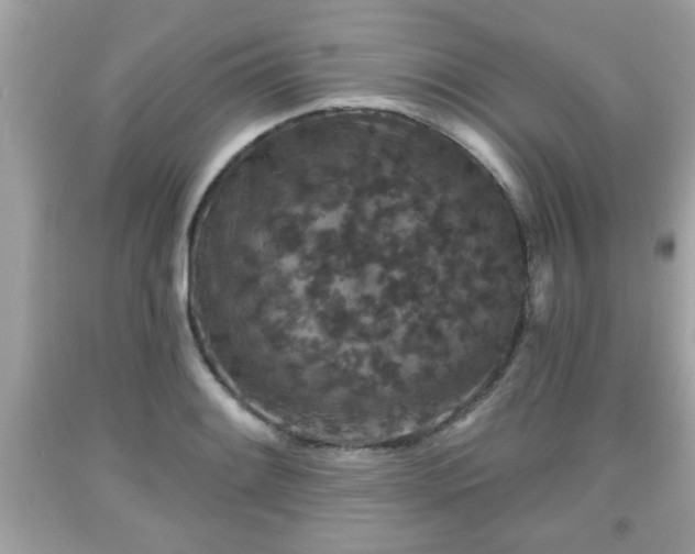 X0000091951084200709131159