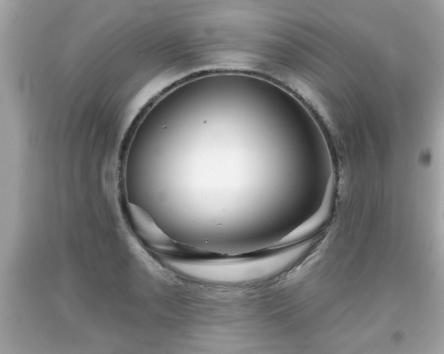 X0000091951085200709131159