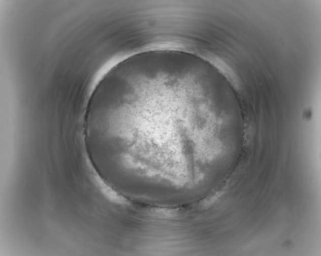 X0000091951086200709131159