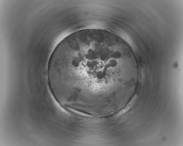 X0000091951087200709131159