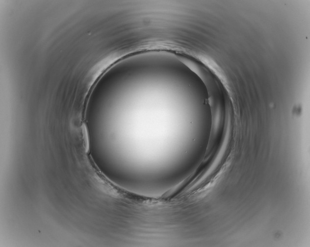 X0000091951089200709131159