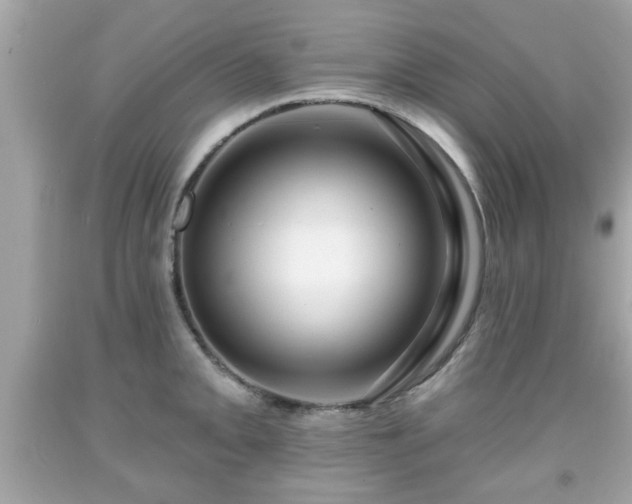 X0000091951093200709131159