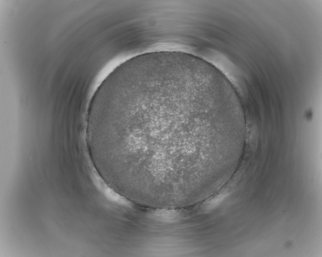 X0000091951094200709131159