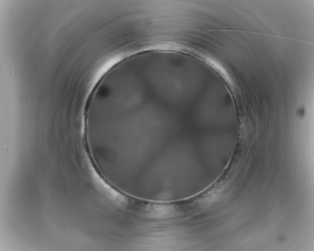 X0000091951095200709131159