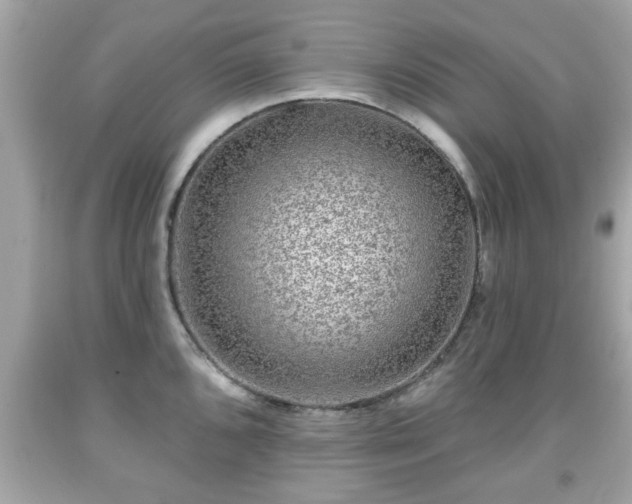 X0000091951096200709131159
