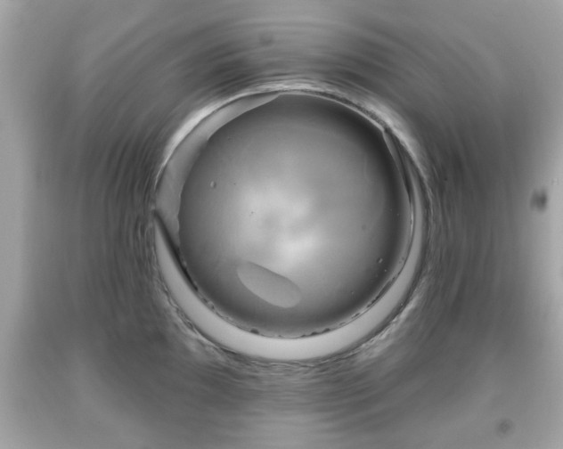 X0000091951097200709131159