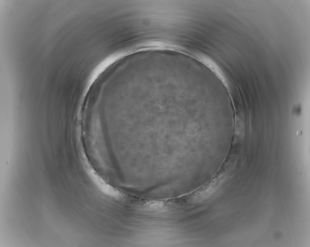 X0000091951098200709131159