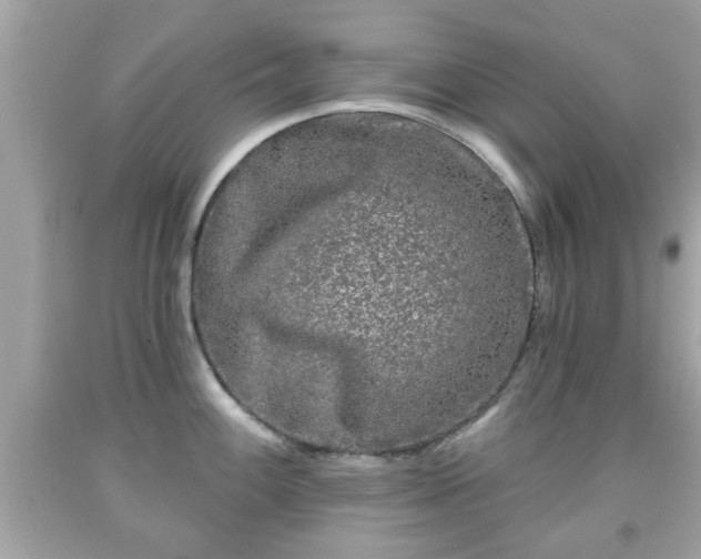 X0000091951100200709131159