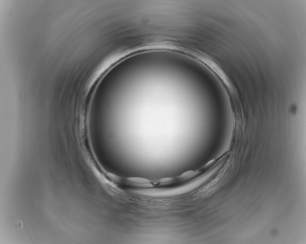 X0000091951101200709131159