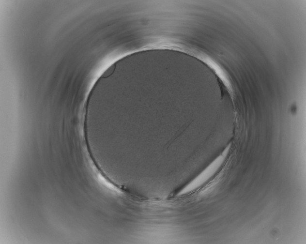 X0000091951102200709131159
