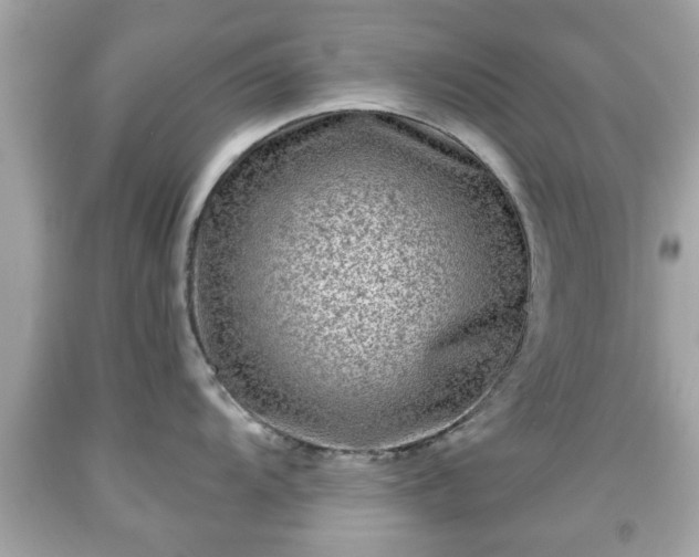 X0000091951104200709131159