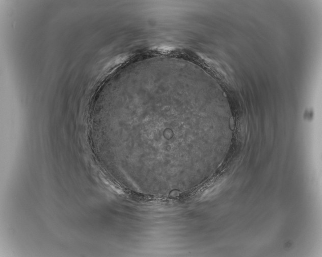 X0000091951105200709131158