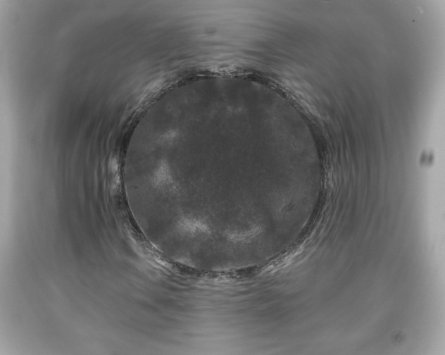 X0000091951106200709131158