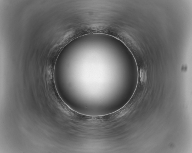 X0000091951107200709131158