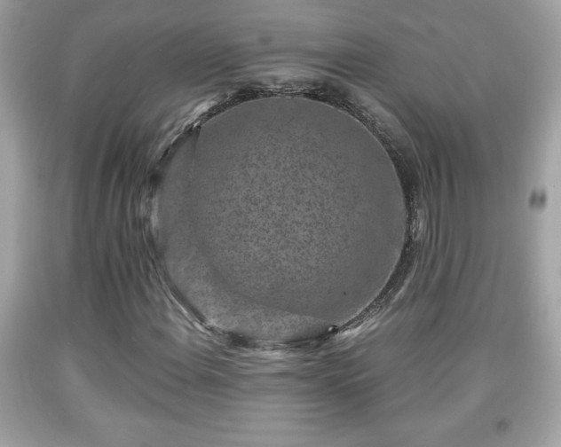 X0000091951108200709131158