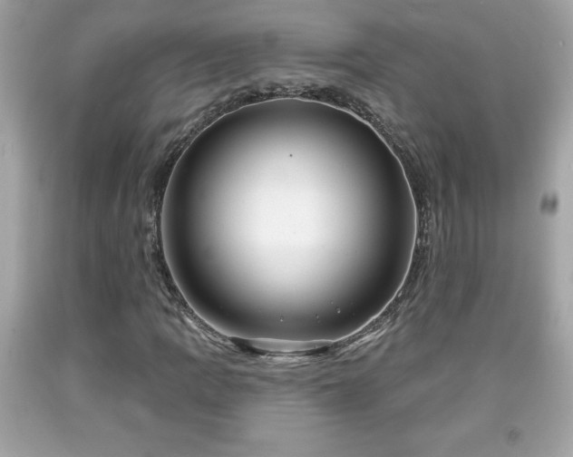 X0000091951109200709131158