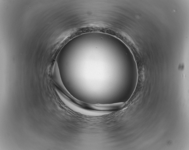 X0000091951110200709131158
