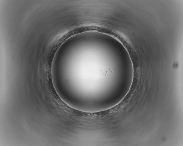 X0000091951111200709131158