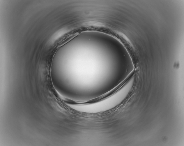 X0000091951112200709131158
