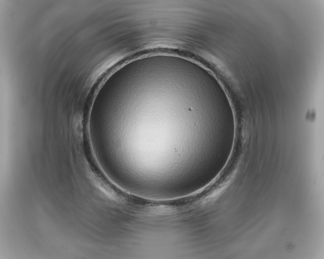 X0000091951113200709131158