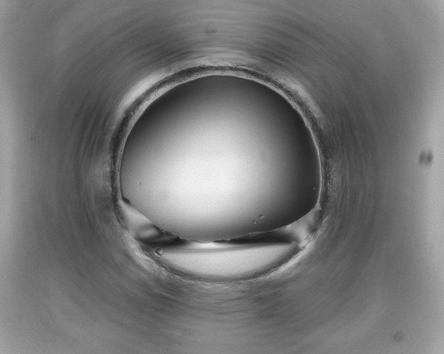 X0000091951114200709131158