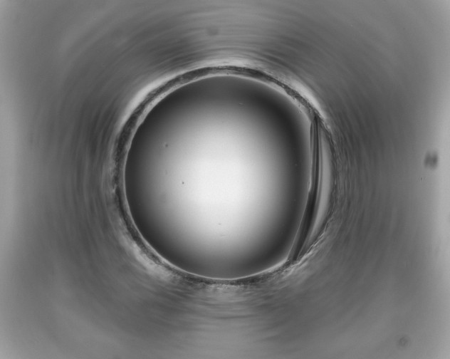 X0000091951116200709131158