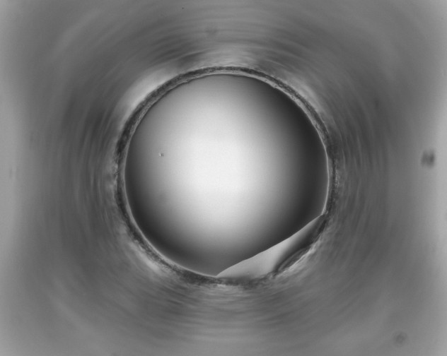 X0000091951119200709131158