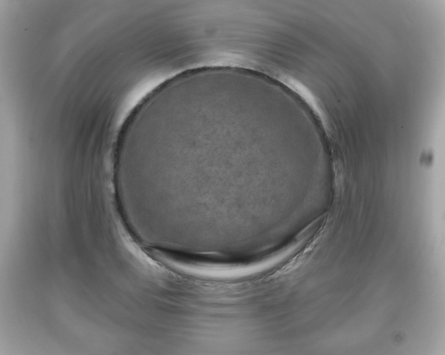 X0000091951120200709131158