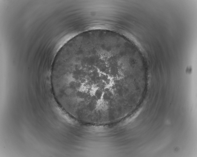 X0000091951121200709131158