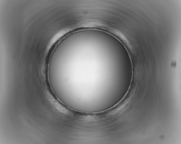 X0000091951122200709131158