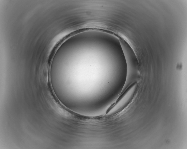 X0000091951123200709131158