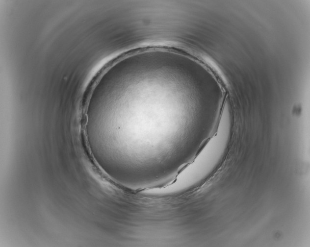 X0000091951124200709131158