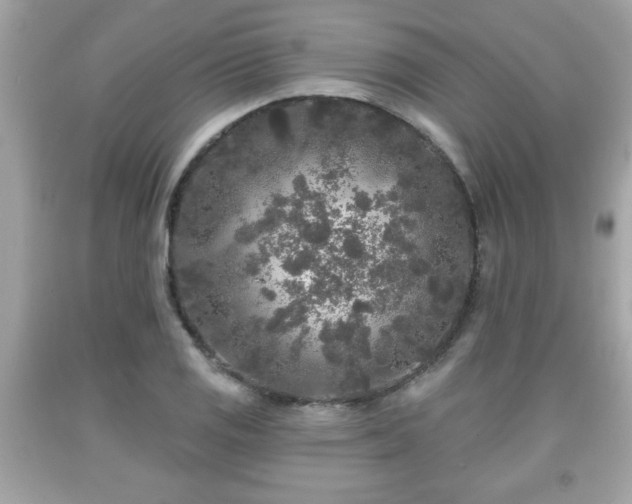 X0000091951125200709131158