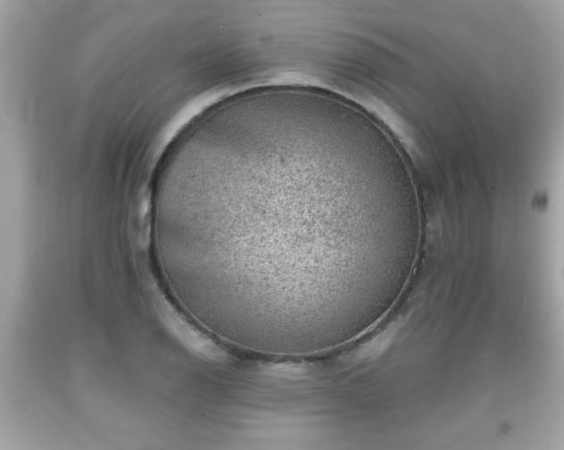 X0000091951126200709131158