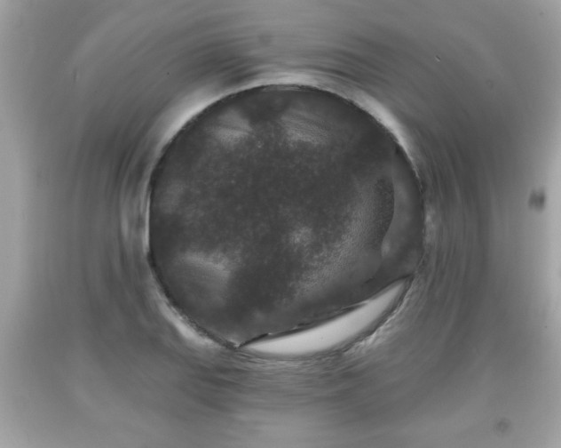 X0000091951127200709131158