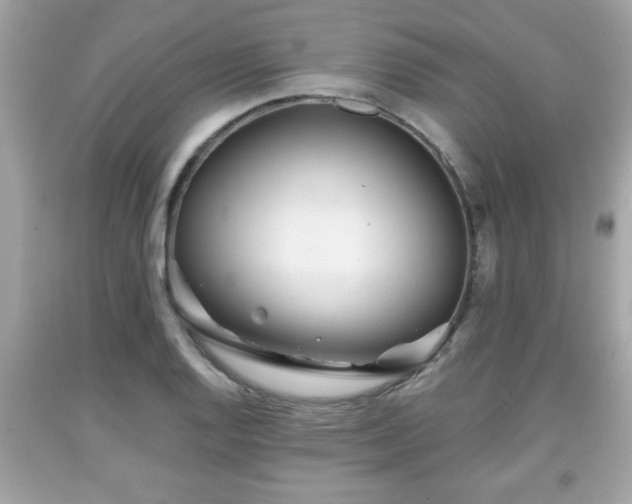 X0000091951128200709131158