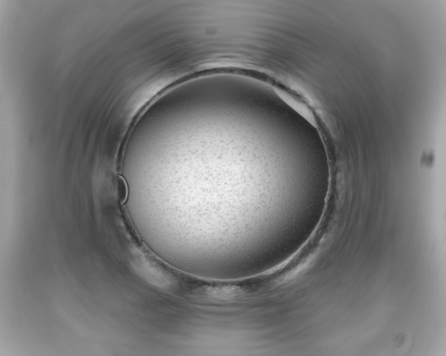 X0000091951129200709131158