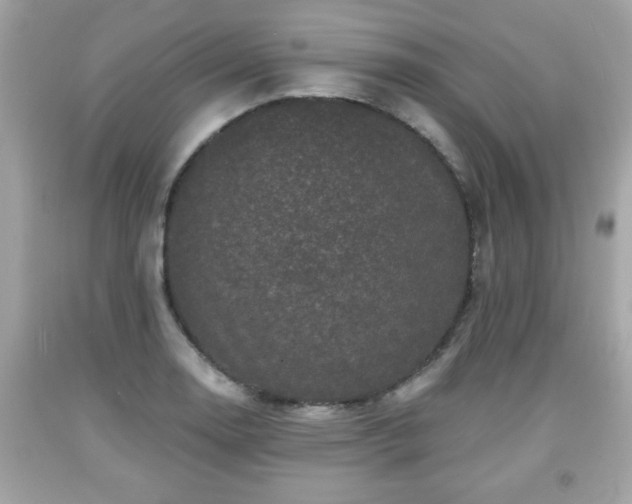 X0000091951130200709131158