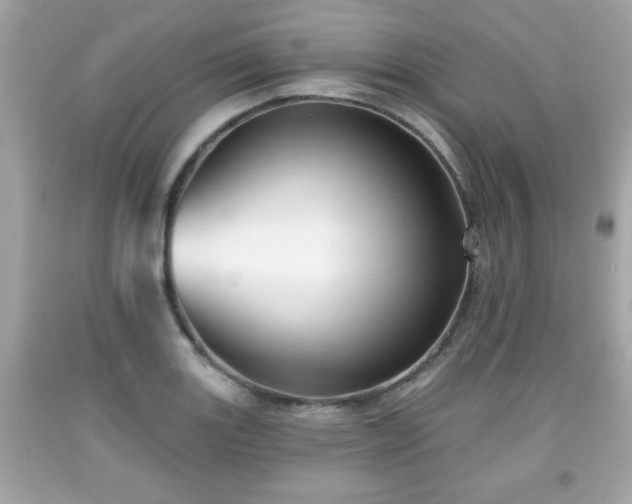 X0000091951131200709131158