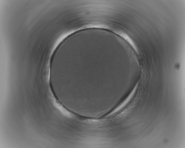 X0000091951132200709131158