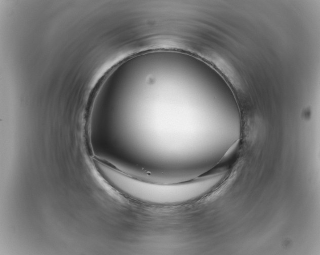 X0000091951134200709131158
