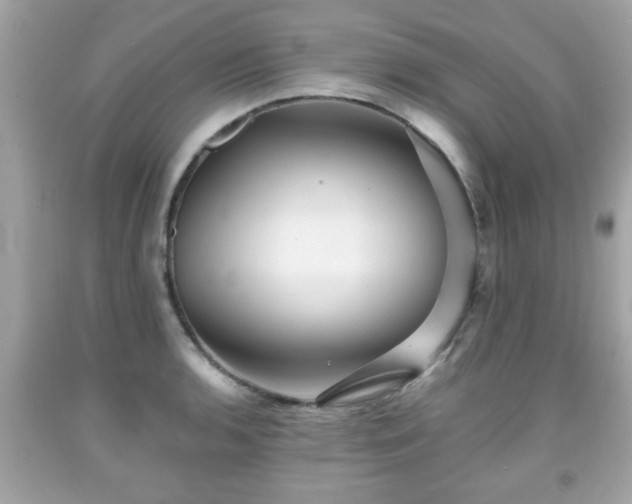 X0000091951136200709131158