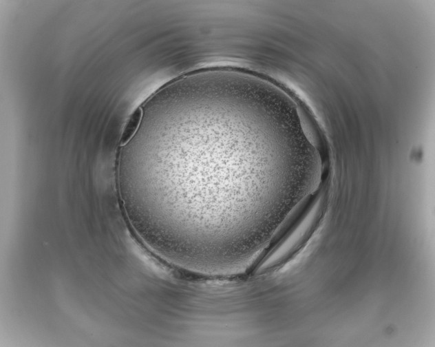X0000091951137200709131158