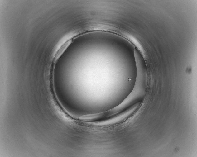 X0000091951138200709131158