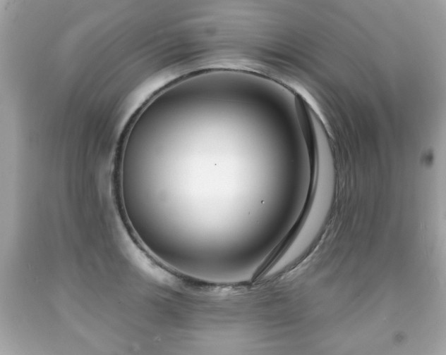 X0000091951139200709131158
