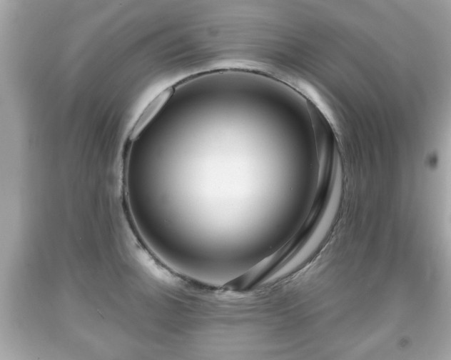 X0000091951140200709131158