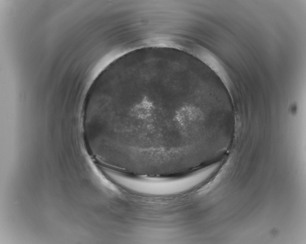 X0000091951141200709131158