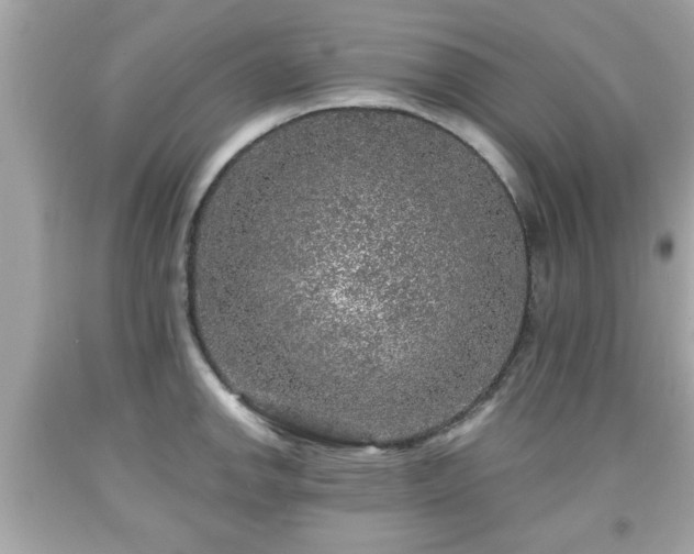 X0000091951142200709131158