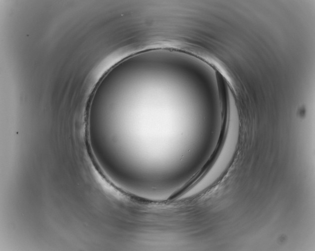 X0000091951143200709131158