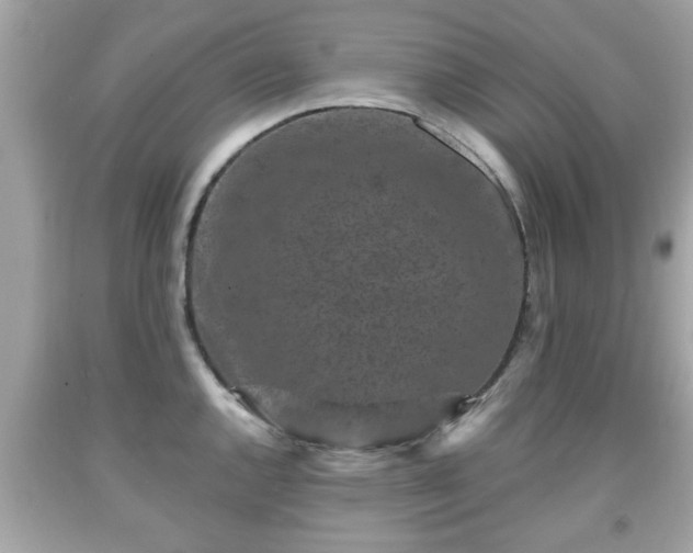 X0000091951144200709131159